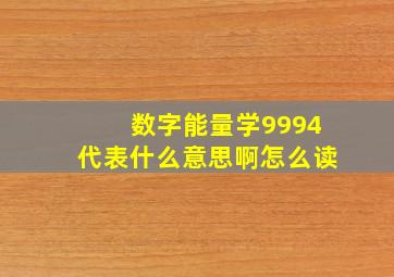 数字能量学9994代表什么意思啊怎么读