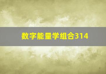 数字能量学组合314