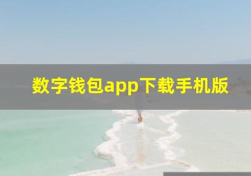 数字钱包app下载手机版