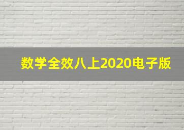 数学全效八上2020电子版