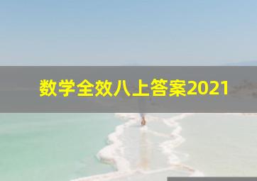 数学全效八上答案2021