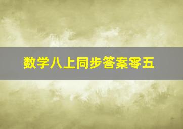 数学八上同步答案零五