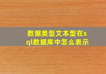 数据类型文本型在sql数据库中怎么表示