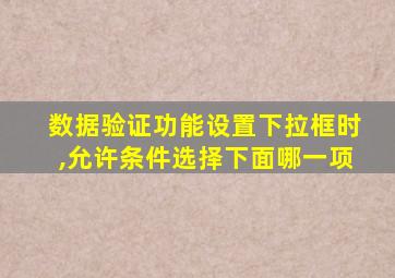 数据验证功能设置下拉框时,允许条件选择下面哪一项