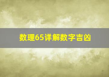 数理65详解数字吉凶