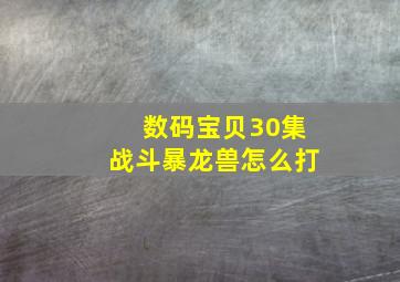 数码宝贝30集战斗暴龙兽怎么打