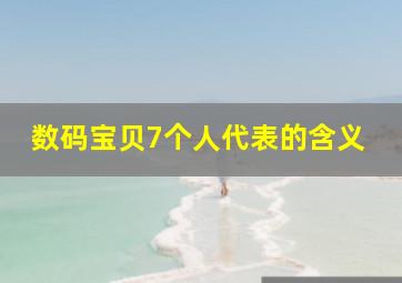 数码宝贝7个人代表的含义