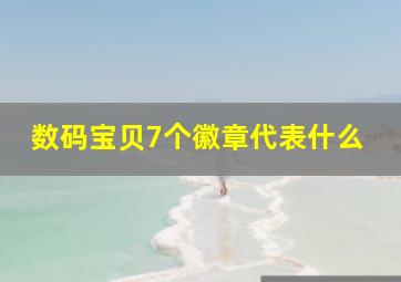 数码宝贝7个徽章代表什么