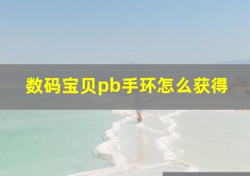 数码宝贝pb手环怎么获得