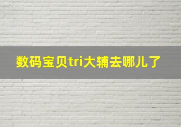 数码宝贝tri大辅去哪儿了