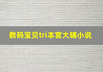 数码宝贝tri本宫大辅小说