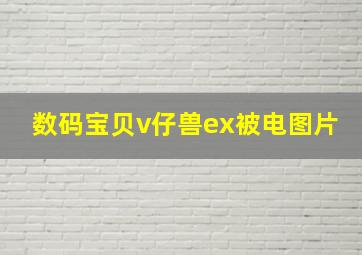 数码宝贝v仔兽ex被电图片