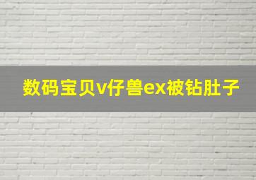 数码宝贝v仔兽ex被钻肚子