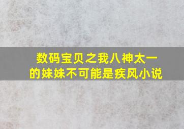 数码宝贝之我八神太一的妹妹不可能是疾风小说