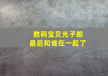 数码宝贝光子郎最后和谁在一起了