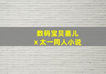 数码宝贝嘉儿ⅹ太一同人小说