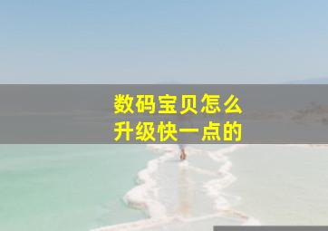 数码宝贝怎么升级快一点的