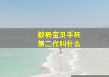 数码宝贝手环第二代叫什么