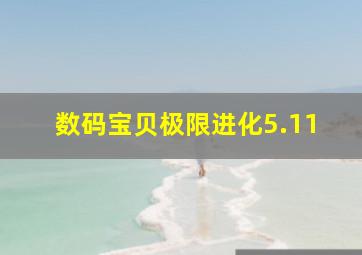 数码宝贝极限进化5.11