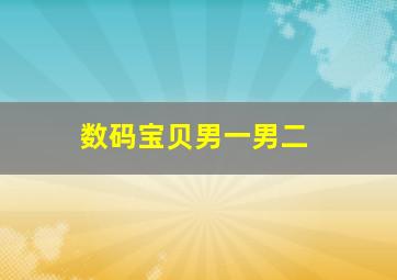 数码宝贝男一男二