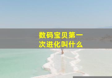 数码宝贝第一次进化叫什么