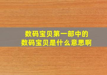 数码宝贝第一部中的数码宝贝是什么意思啊