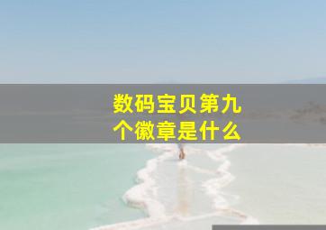 数码宝贝第九个徽章是什么