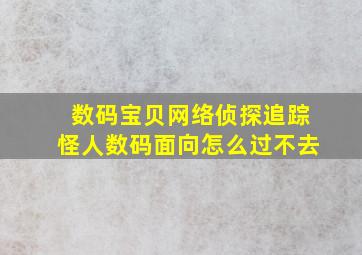 数码宝贝网络侦探追踪怪人数码面向怎么过不去