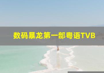 数码暴龙第一部粤语TVB