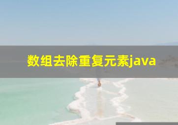 数组去除重复元素java