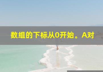 数组的下标从0开始。A对