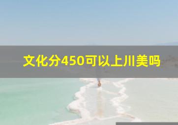 文化分450可以上川美吗