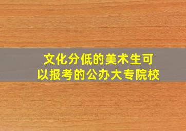 文化分低的美术生可以报考的公办大专院校