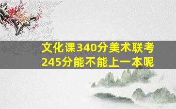 文化课340分美术联考245分能不能上一本呢