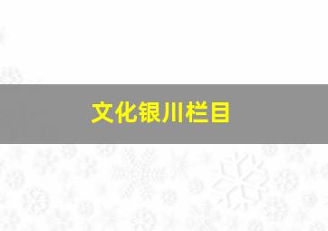 文化银川栏目