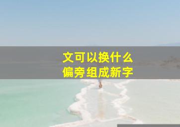 文可以换什么偏旁组成新字