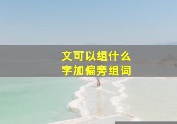 文可以组什么字加偏旁组词