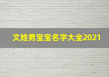 文姓男宝宝名字大全2021