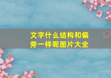 文字什么结构和偏旁一样呢图片大全