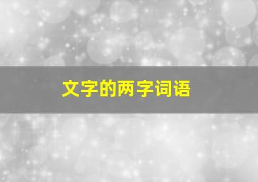 文字的两字词语