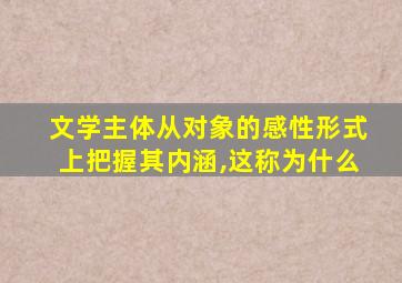 文学主体从对象的感性形式上把握其内涵,这称为什么