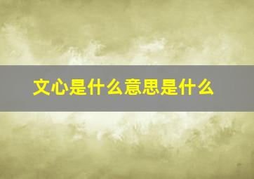 文心是什么意思是什么