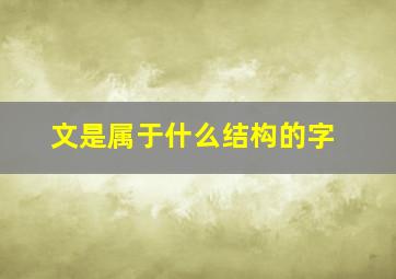 文是属于什么结构的字