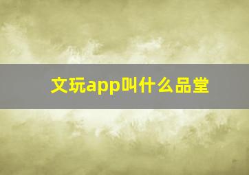 文玩app叫什么品堂