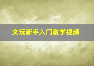 文玩新手入门教学视频