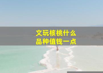 文玩核桃什么品种值钱一点