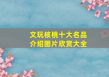 文玩核桃十大名品介绍图片欣赏大全