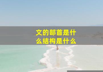 文的部首是什么结构是什么