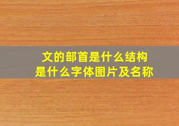 文的部首是什么结构是什么字体图片及名称