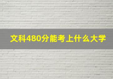 文科480分能考上什么大学